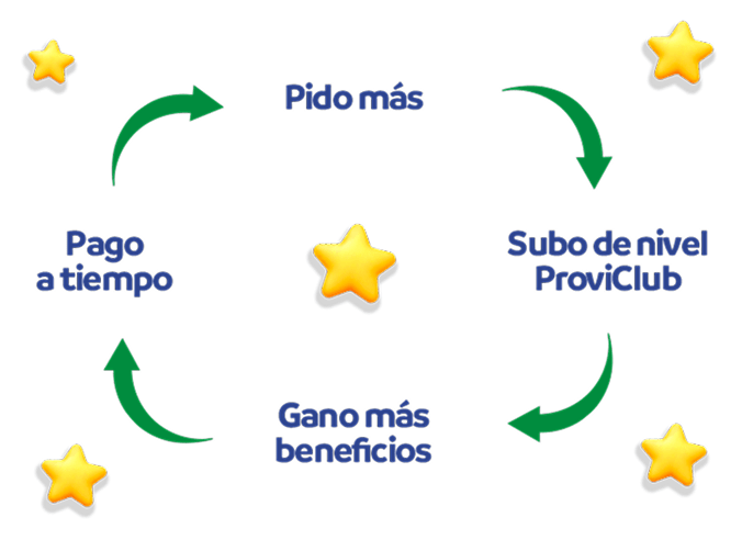 ciclo provident