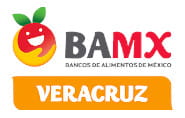 banco de alimentos veracruz provident